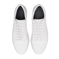 Women's Off White Suede Sardegna Sneaker II